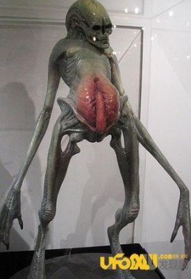 中国发现了一只活外星人?中国发现了一只活外星人图片?