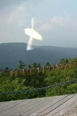 ufo外星人女照片图,ufo外星人图片大全