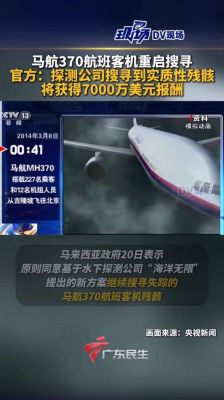 马航死者全是艾滋病一流专家,马航真实?