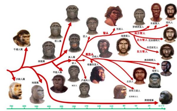 地球上第一个人是谁?地球上第一个人是谁游泳的?