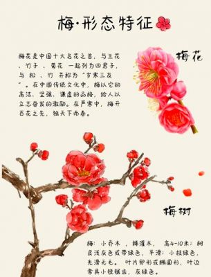 梅花的历史典故,梅花的传说和由来故事
