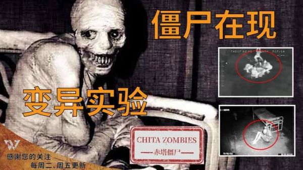 俄罗斯赤塔僵尸事件时间,俄罗斯赤塔僵尸事件2008?