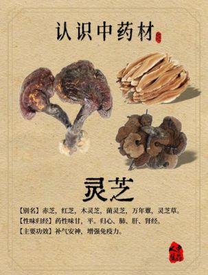 武夷山历史典故?武夷山景区历史?