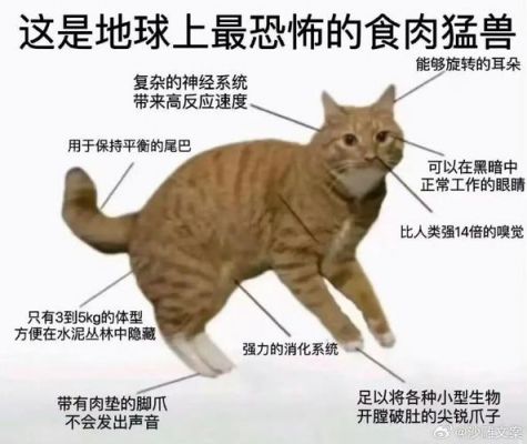 世界上最恐怖的生物,世界上最恐怖的生物是谁
