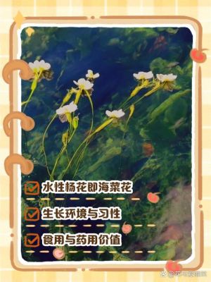水性杨花历史典故,水性杨花历史典故简介