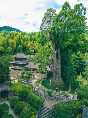 丽水城的历史典故,丽水古城在哪个省