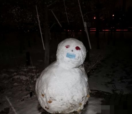 哈尔滨2007雪人事件的简单介绍