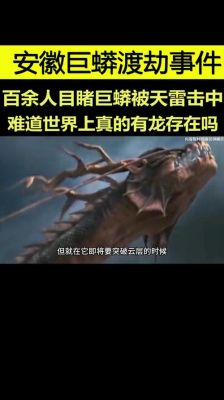 巨蟒渡劫是否真的,大蟒渡劫事件