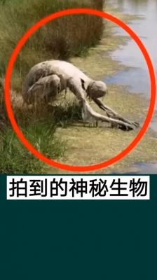 世界上的奇闻趣事,世界上的奇闻趣事是无穷无尽的吗?