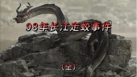 98年长江走蛟成功了吗,长江走蛟怎么解决的?
