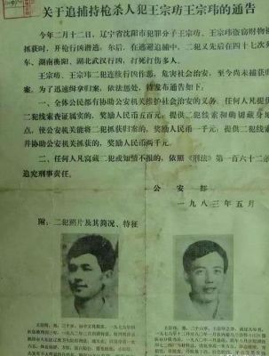 中国前十悍匪详细排名,中国前十悍匪排名最新?