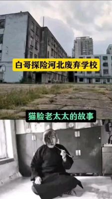 猫脸老太太的图片,猫脸老太太的照片