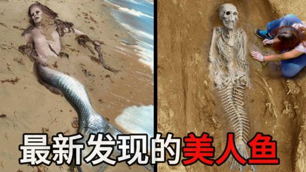世界上有美人鱼吗?世界上有美人鱼吗帮我搜一搜?