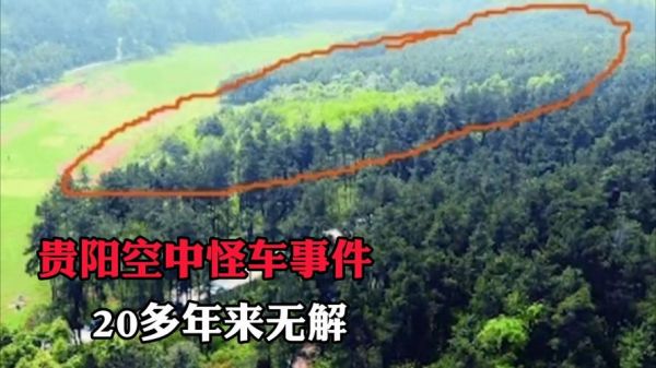 空中怪车事件,空中怪车事件目击证人
