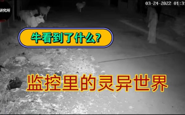 灵异事件真实视频,灵异事件真实视频网站