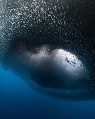 26种恐惧症测试图,26种恐惧症测试图片