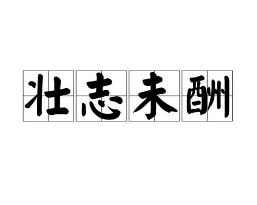 壮志未酬的历史典故,壮志未酬的历史典故有哪些?