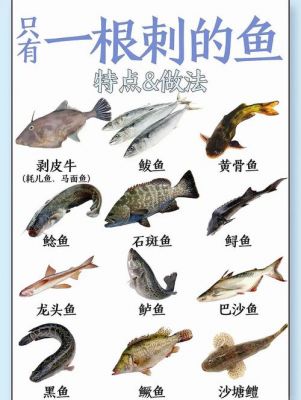 理解他人的历史典故?理解他人的历史典故作文?