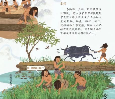 关于民主的历史典故的简单介绍