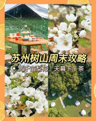 通安树山的历史典故,苏州通安树山简介