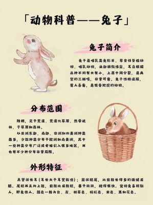 关于兔的历史典故?关于兔的历史典故有哪些?