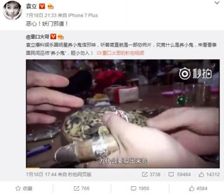 明星养小鬼的真实例子,明星养小鬼的真实例子视频
