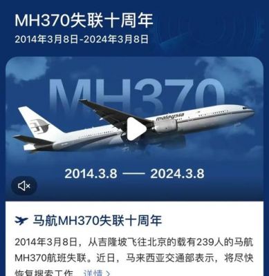马航真相大揭秘完整版,马航真实情况?