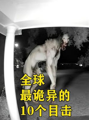 世界前十灵异事件视频,世界前十灵异事件真实故事视频