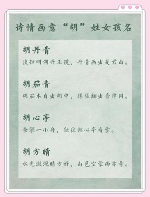 关于胡星的历史典故是什么?胡星斗简介为人?